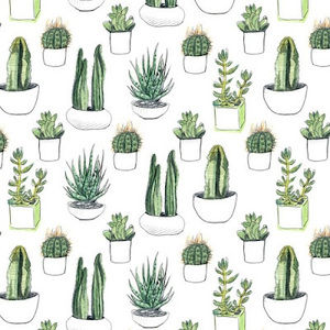 Meet your Posher, Delaney